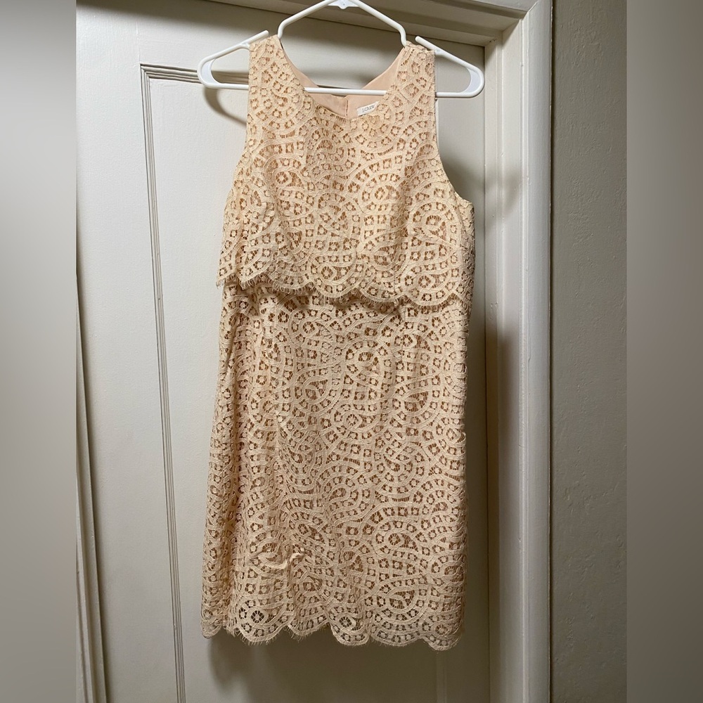 J. Crew Beige Lace Overlay Dress
